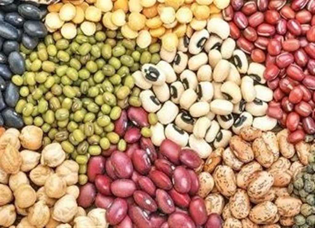 خرید عمده حبوبات بهترین و باکیفیت ترین حبوبات در بازرگانی همتی خرید عمده حبوبات بهترین و باکیفیت ترین حبوبات در بازرگانی همتی