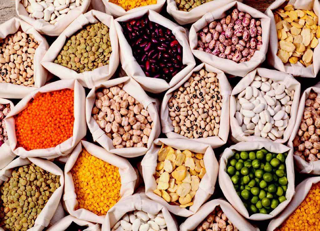تأثیر حبوبات بر سلامت کلیه و گوارش کیسه های انواع حبوبات